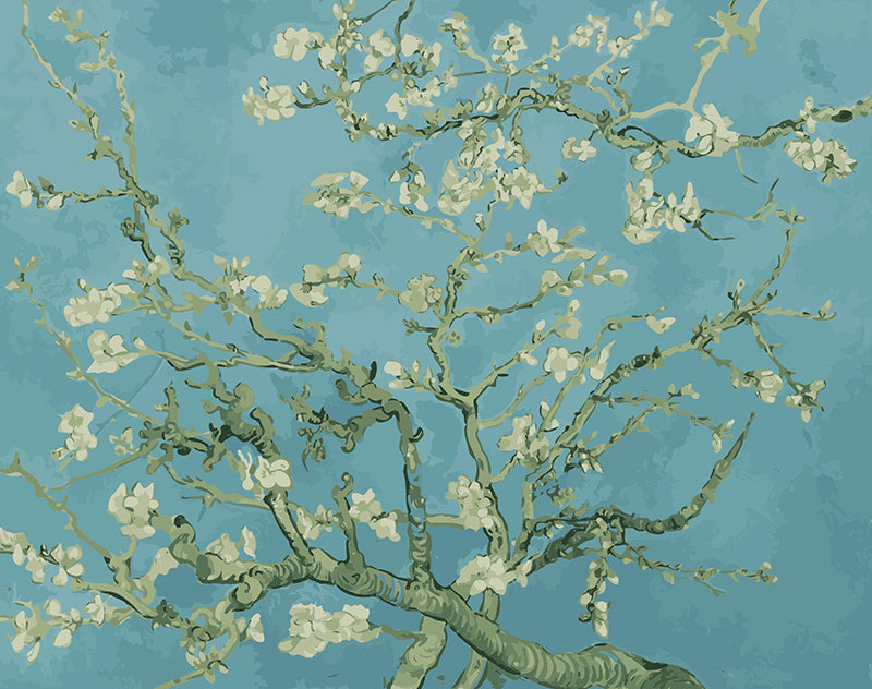 Spritzschutz Mandelblüte