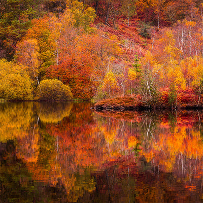 Herdabdeckplatte - Herbstlicher See