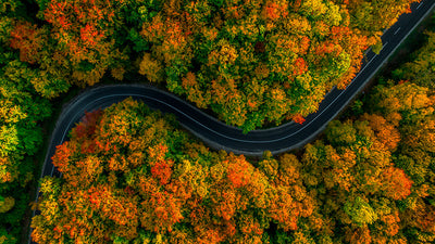 Herdabdeckplatte - Herbstliche Straße
