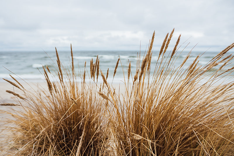Spritzschutz Strand