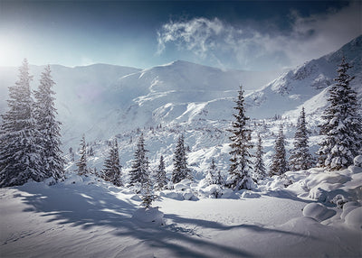 Herdabdeckplatte - Bergen im Winter