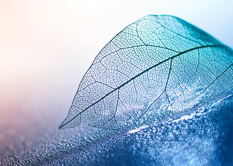 Herdabdeckplatte - Blaues abstraktes Blatt