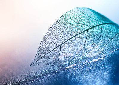 Herdabdeckplatte - Blaues abstraktes Blatt