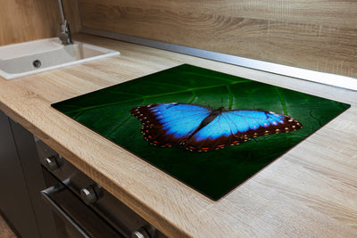 Herdabdeckplatte - Blauer Schmetterling