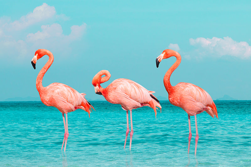Herdabdeckplatte - Drei Flamingos