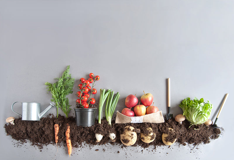 Herdabdeckplatte - Obst und Gemüse