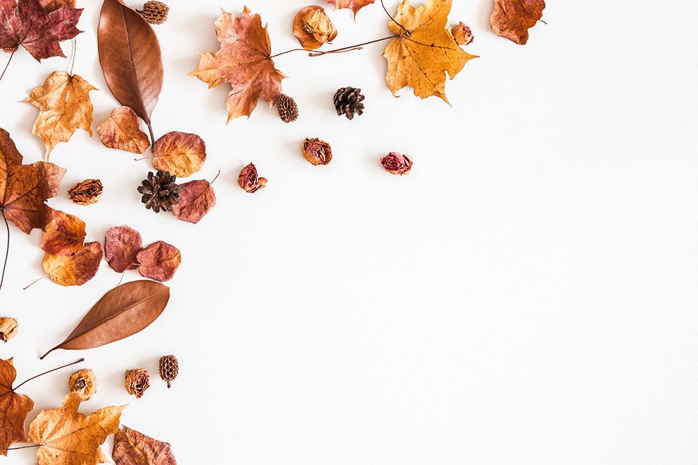 Herdabdeckplatte - Herbstliches Laub