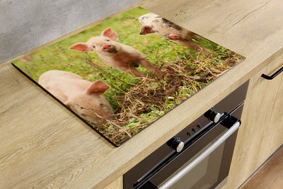 Herdabdeckplatte - Drei Ferkel