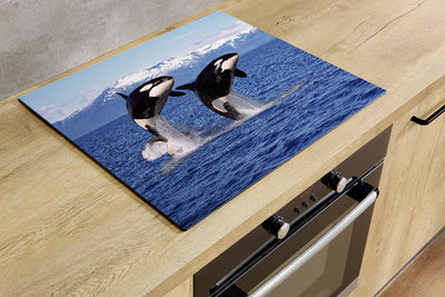 Herdabdeckplatte - Zwei Orcas