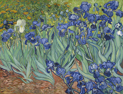 Herdabdeckplatte - Iris