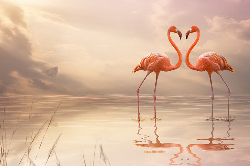 Herdabdeckplatte - Liebender Flamingo