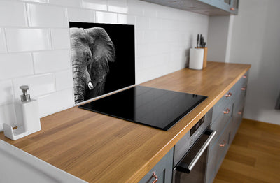 Spritzschutz Elefant