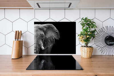 Spritzschutz Elefant