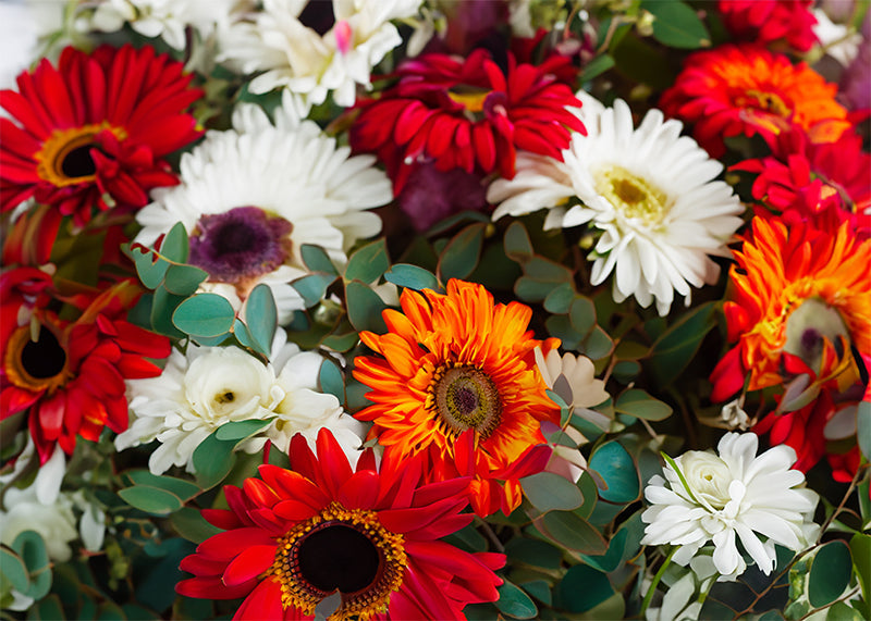 Herdabdeckplatte - Rote und weiße Blumen