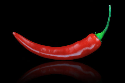 Spritzschutz Roter Pfeffer