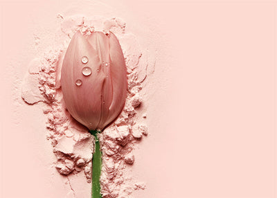Herdabdeckplatte - Pink Tulp