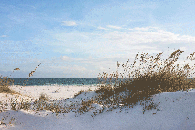 Herdabdeckplatte - Das Meer