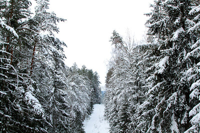 Herdabdeckplatte - Schnee Straße