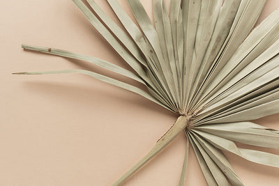 Herdabdeckplatte - Tropischer Palmblatt