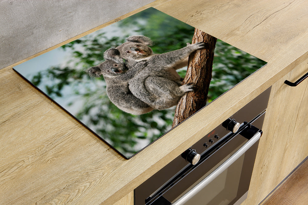 Herdabdeckplatte - Zwei Koalas