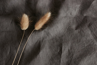 Spritzschutz Zwei Pampas