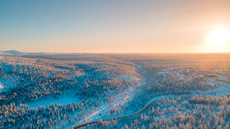 Herdabdeckplatte - Winterwald