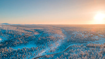 Herdabdeckplatte - Winterwald