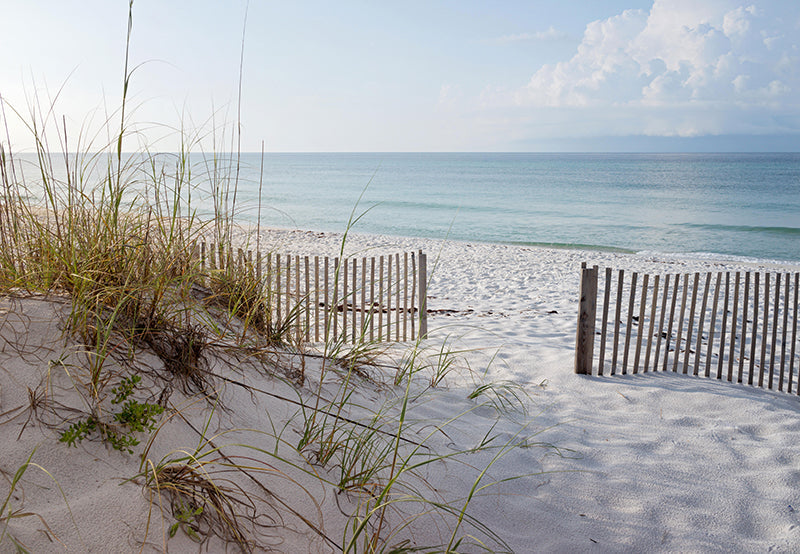 Herdabdeckplatte - Meer und Strand