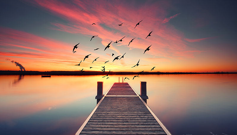 Herdabdeckplatte - Sonnenaufgang mit Vögeln