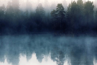 Herdabdeckplatte - Besprühter Waldsee